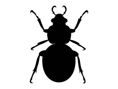 Sürünen böceğin siyah silueti beyaz arka planda izole edilmiş, grafik çizimi. Böcek, böcek, vahşi yaşam, böcek bilimi, ikon, logo, tasarım elementi konsepti.