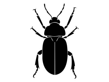 Beyaz arka planda izole edilmiş siyah böcek silueti, grafik çizim. hata, entomoloji, doğa, ikon, logo, tasarım unsuru, eğitim materyali kavramı.