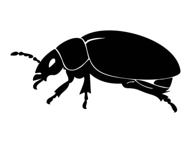 Beyaz arka planda izole edilmiş siyah böcek silueti, grafik çizim. Böcek, böcek, vahşi yaşam, doğa, ikon, logo, tasarım unsuru, haşere kontrolü kavramı.