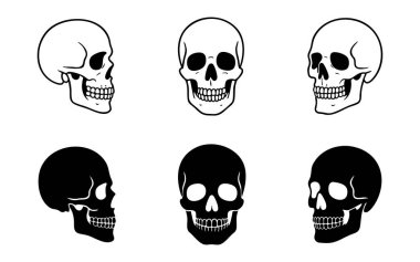 Taslak ve silüet şeklinde insan kafatası çizimleri, ön ve yan görüntüler, beyaz arka planda izole edilmiş, grafik çizimi. Anatomi, dövme, gotik, cadılar bayramı tasarım öğeleri kavramı.