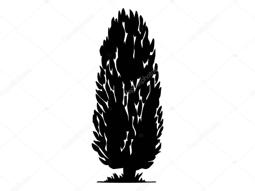 Black silhouette of a tree with detailed foliage isolated on white background, graphic illustration. concept of nature, forest, botanical, icon, logo, design element.