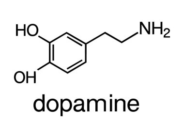 Beyaz arka planda izole edilmiş dopamin molekülünün kimyasal yapısı, siyah grafik çizimi. Nörotransmitter, beyin kimyası, biyokimya, bilimsel çalışma, tasarım elementi kavramı.