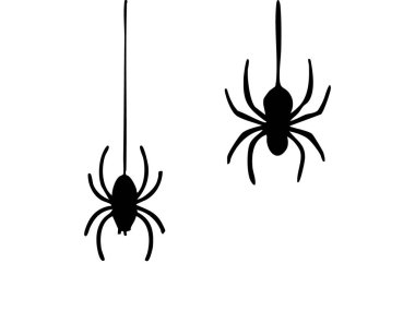 İpliklerden sarkan siyah örümceklerin siluetleri, beyaz arka planda izole edilmiş, grafik çizimi. Cadılar bayramı konsepti, ürkütücü böcekler, eklembacaklılar, ürkütücü dekor, ikon.