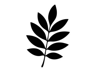 Beyaz arka planda siyah kül ya da rowan yaprağı silueti, grafik çizim. Doğa konsepti, botanik sanatı, yaprak, bitki tasarımı, ikon, logo, dekoratif element.