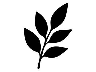 Ficus ya da Laurel 'ın beyaz arka planda izole edilmiş birden fazla dalı olan siyah silueti, grafik çizimi. Doğa konsepti, botanik elementler, yaprak tasarımı, simge, logo, dekorasyon.