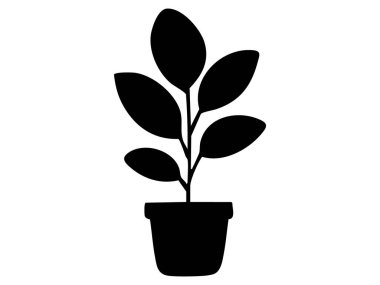 Siyah saksı bitkisi silueti, beyaz arka planda izole edilmiş, grafik çizimi. Ev dekorasyonu, yeşil yapraklar, doğa, tasarım unsuru..