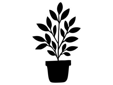 Beyaz arka planda izole edilmiş siyah saksı bitkisi silueti, grafik çizim. Doğa konsepti, ev bitkisi, botanik sanatı, ikon, logo, tasarım elementi.
