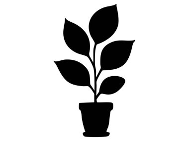 Geniş yapraklı siyah saksı bitkisi silueti, beyaz arka planda izole edilmiş, grafik çizimi. kapalı bitki, ev bitkisi, dekoratif element, simge, logo konsepti.