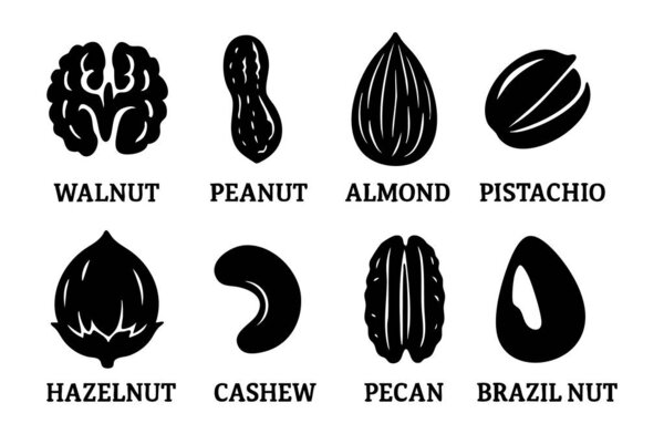 Набор икон черного силуэта из различных орехов, включая грецкий орех, арахис, миндаль, фисташки, фундук, кешью, пекан, и бразильский орех, изолированные на белом фоне, графические иллюстрации.