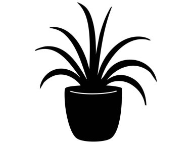Beyaz arka planda izole edilmiş siyah aloe bitkisi silueti, grafik çizim. kapalı ev bitkisi, bahçıvanlık, doğa, dekor, simge, logo, tasarım unsuru.