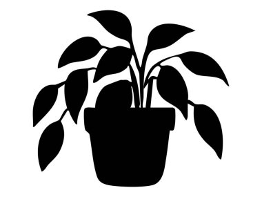 Büyük yapraklı siyah saksı bitkisi silueti, beyaz arka planda izole edilmiş, grafik çizimi. İç mekan, ev dekorasyonu, doğa, botanik, tasarım elementi kavramı.
