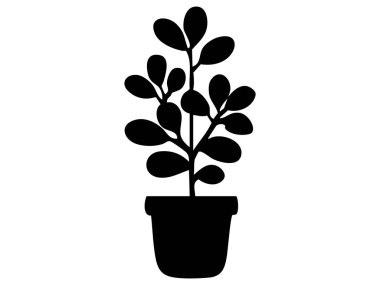 Beyaz arka planda izole edilmiş oval yapraklı siyah saksı bitkisi silueti, botanik çizimler. İç mekan bahçe işleri, ev bitkisi dekorasyonu, doğa, tasarım unsuru..