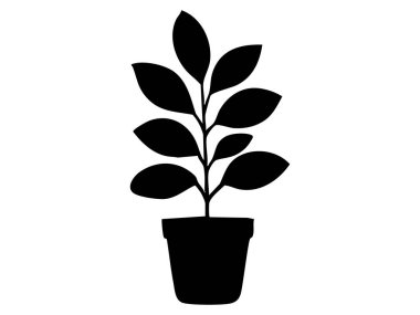 Beyaz arka planda izole edilmiş yapraklı siyah saksı bitkisi, grafik çizimi. konsept konsepti, ev dekorasyonu, doğa, iç tasarım, simge, logo.