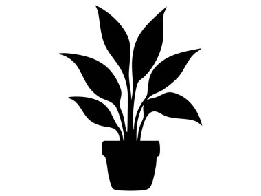 Büyük yapraklı siyah saksı bitkisi silueti, beyaz arka planda izole edilmiş, grafik çizimi. Ev bitkisi konsepti, iç dekorasyon, doğa, botanik ikon, tasarım ögesi.