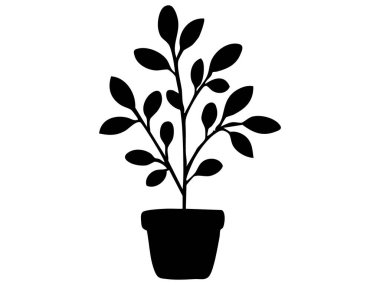 Beyaz arka planda izole edilmiş yaprakları olan siyah saksı bitkisinin silüeti, grafik çizimi. kapalı bitki, doğa, ev dekorasyonu, botanik sanatı, tasarım elementi konsepti.