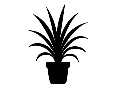 Beyaz arka planda izole edilmiş uzun yapraklı siyah saksı bitkisi silueti, grafik çizimi. Botanik illüstrasyon konsepti, kapalı bitki, doğa, dekor, tasarım unsuru.