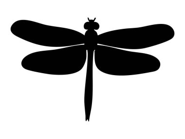 Siyah yusufçuk silueti, beyaz arka planda izole edilmiş, grafik çizim. Böcek, doğa, sinek, simge, logo, tasarım elementi kavramı.