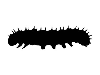 Dikenli çıkıntılı siyah tırtıl silueti, beyaz arka planda izole edilmiş, grafik çizimi. Doğa, böcek, mikro fauna, ikon, logo, tasarım elementi konsepti.