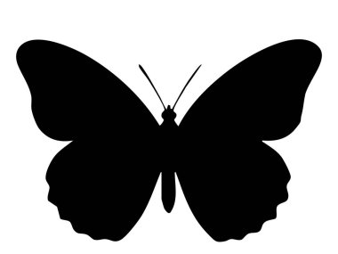 Siyah kelebek silueti beyaz arka planda izole edilmiş. Böcek konsepti, doğa, güzellik, vahşi yaşam, tasarım unsuru, simge, logo, grafik illüstrasyon