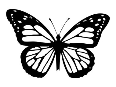 Beyaz arka planda izole edilmiş siyah kelebek silueti, zarif böcek çizimi. Doğa, güzellik, vahşi yaşam, ikon, logo, tasarım unsuru, doğal zarafet.