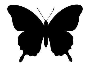 Beyaz arka planda izole edilmiş kanatları olan siyah kelebek silueti. Böcek konsepti, doğa, dekorasyon, vahşi yaşam, simge, logo, tasarım unsuru.