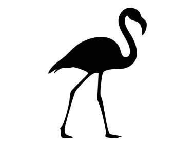 Flamingo 'nun siyah silueti beyaz arka planda zarif bir şekilde duruyor. Kuş konsepti, vahşi yaşam, egzotik hayvan, ikon, logo, tasarım elementi.