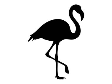 Tek bacaklı, beyaz arka planda izole siyah flamingo silueti. Kuş, vahşi yaşam, zarafet, tropikal doğa, ikon, logo, tasarım elementi konsepti.