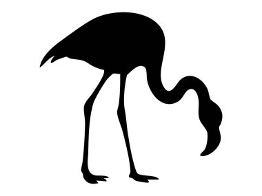 Boyun kıvrımlı siyah flamingo silueti, beyaz arka planda izole edilmiş. Kuş, vahşi yaşam, zarif hayvan, minimalist tasarım, ikon, logo, doğa.