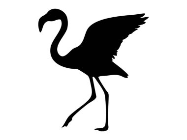 Flamingo yürüyüşünün siyah silueti, beyaz arka planda izole edilmiş. Kuş konsepti, zarafet, doğa, vahşi yaşam, ikon, logo, tasarım elementi.