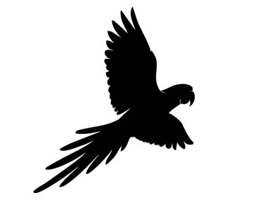 Beyaz arka planda izole edilmiş, kanatları açık uçan papağan silueti. Kuş konsepti, vahşi yaşam, egzotik hayvan, özgürlük, doğa, tasarım unsuru.