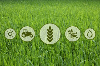 Arkaplanda simgeler ve alan. Akıllı tarım ve modern teknoloji kavramı