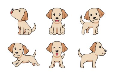 Tasarım için Labrador Retriever köpeğinin vektör karikatür seti.