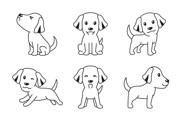 Vector Cartoon Set Black White Color Labrador Retriever Dog Design — Stock Vector