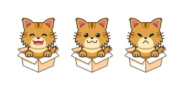 Vector Cartoon Illustration Set Tabby Cat Showing Different Emotions Cardboard — 图库矢量图片