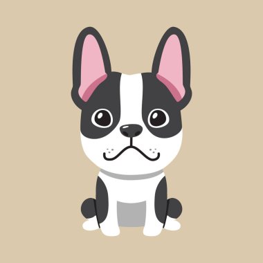 Tasarım için vektör karikatür Boston terrier köpeği.