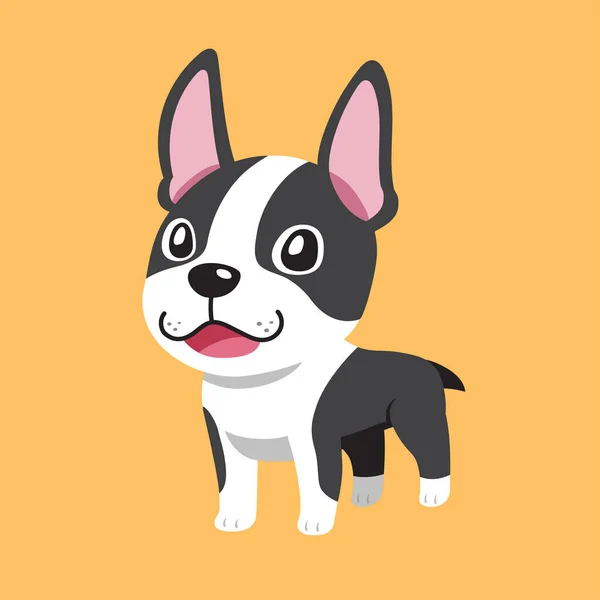 Vettore Cartone Animato Carino Boston Terrier Cane Design — Vettoriale Stock