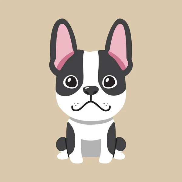 Vector Dibujos Animados Boston Terrier Perro Para Diseño — Vector de stock