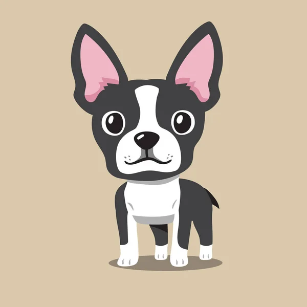 Rajzfilm Boston Terrier Kutya Design — Stock Vector