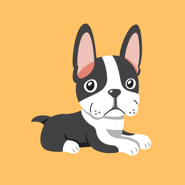 Rajzfilm Aranyos Boston Terrier Kutya Design — Stock Vector