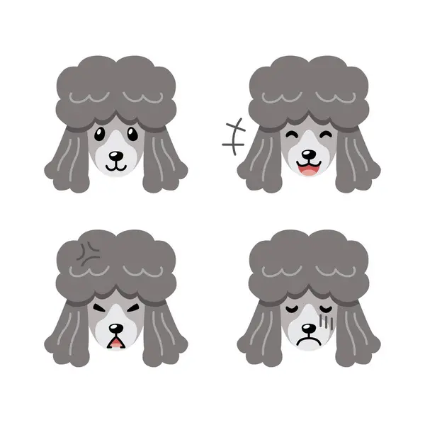 Набор Персонажей Милые Пуделя Собаки Лица Показывающие Различные Эмоции Дизайна Стоковая Иллюстрация