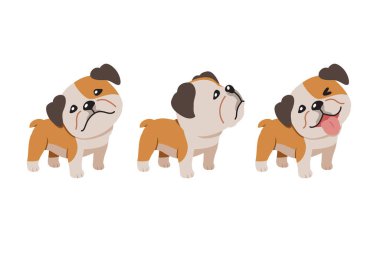 Tasarım için bir dizi vektör çizgi film karakteri şirin bulldog.