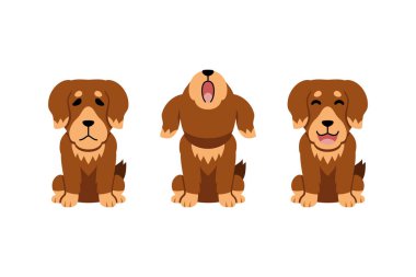 Tasarım için vektör çizgi film karakteri köpek kümesi.