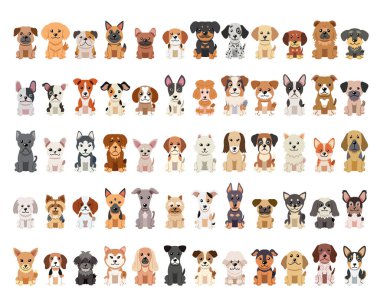 Tasarım için farklı vektör karikatür köpekleri.