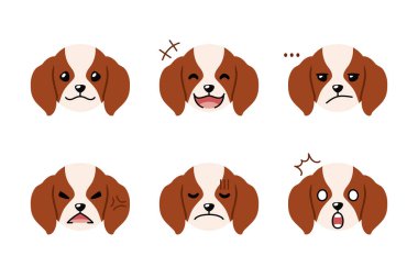 Sevimli karakter süvari kral Charles spaniel köpek yüzleri tasarım için farklı duygular gösteriyor.