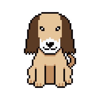 Piksel sanat şirin Afgan av köpeği vektörü tasarım için geçmişe dönük.