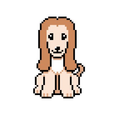 Piksel sanat şirin Afgan av köpeği vektörü tasarım için geçmişe dönük.