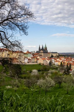 Prag, Çek Cumhuriyeti 'nin başkenti. Ana ilgi alanları Prag Kalesi, Charles Köprüsü, Petn ve Vyehrad. 1992 yılından bu yana tarihi merkez UNESCO listesinde yer alıyor..