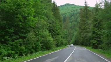 Ormandan geçen yol, hava manzaralı. Yüksek kalite 4k görüntü