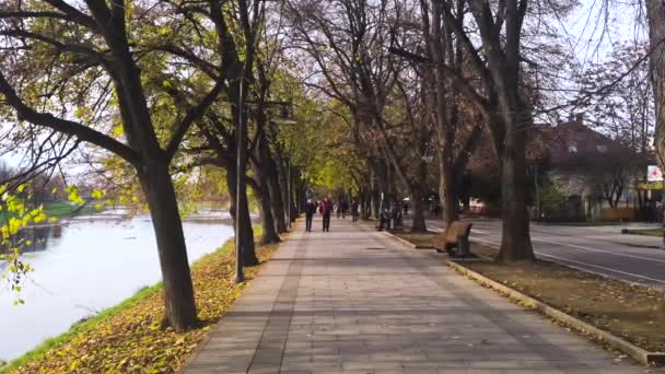 ウジゴル ウクライナ 12月2022 人々は冬の暖かい時間に遊歩道に沿って歩く 高品質4K映像 — ストック動画