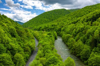Güzel yeşil ağaçlarla kaplı Karpatya dağları gökyüzü manzarası